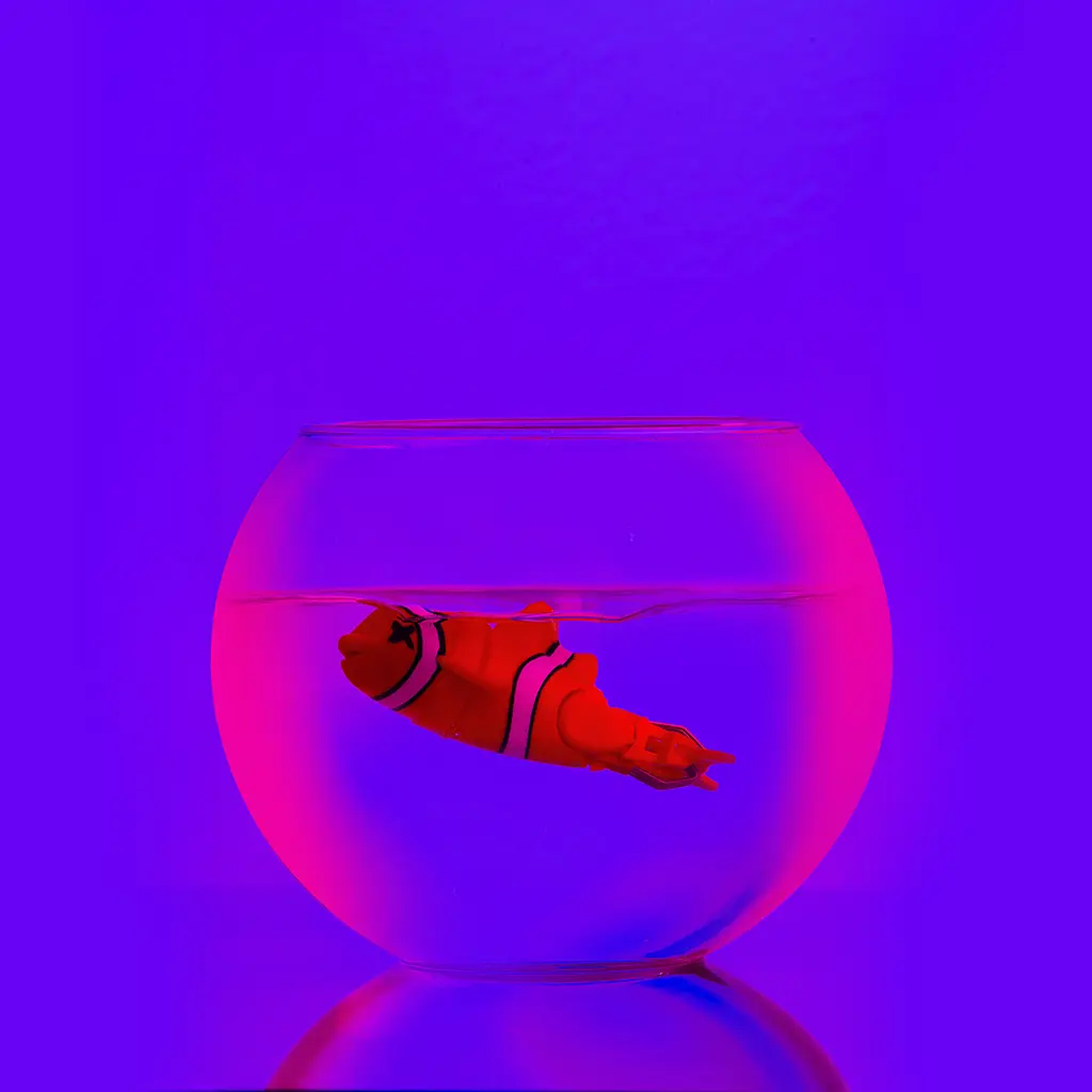 RXA Rxa
